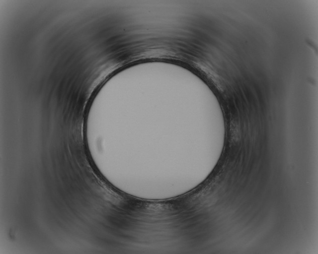 X0000091891322200709191209
