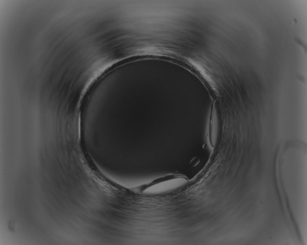 X0000091891323200709191209