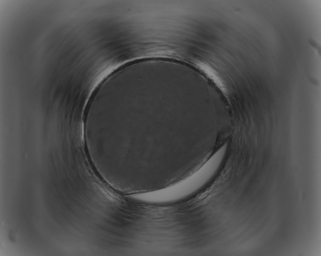 X0000091891324200709191209
