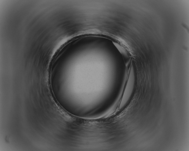 X0000091891326200709191209