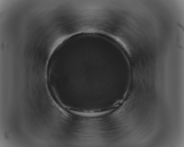 X0000091891327200709191209