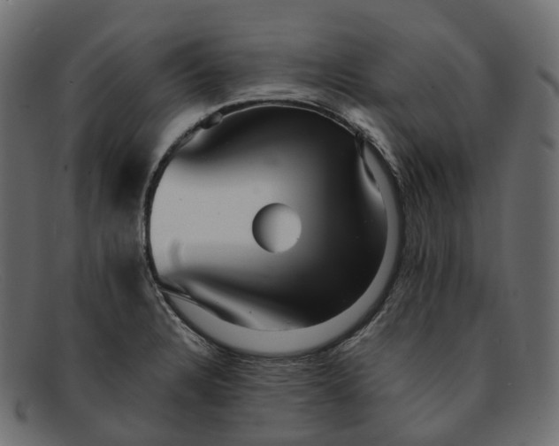 X0000091891328200709191209
