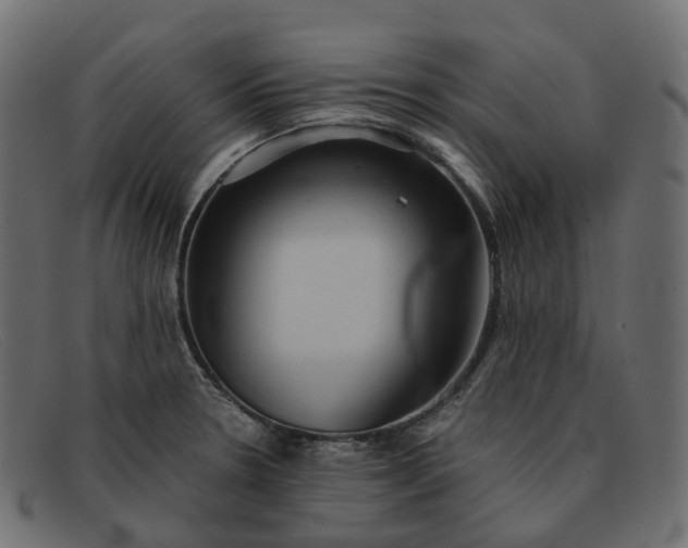 X0000091891330200709191209
