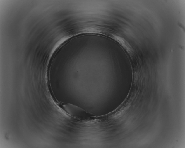 X0000091891331200709191209
