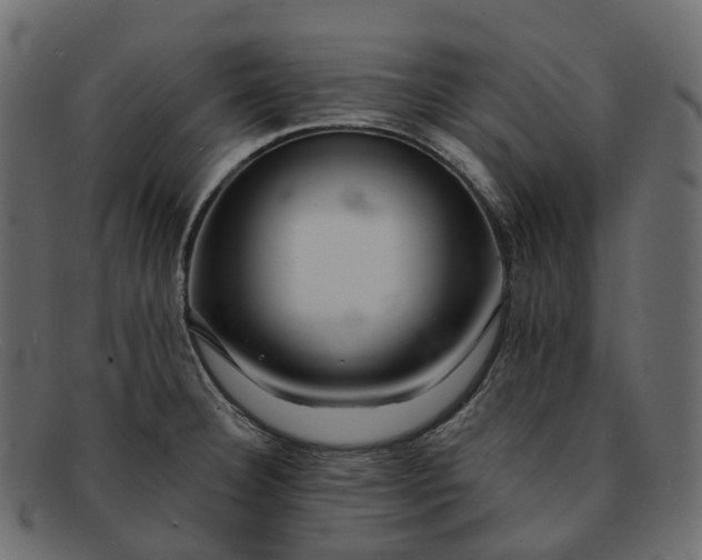 X0000091891332200709191209