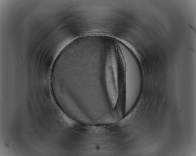 X0000091891333200709191209