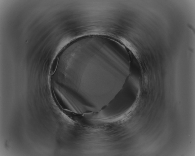 X0000091891334200709191209