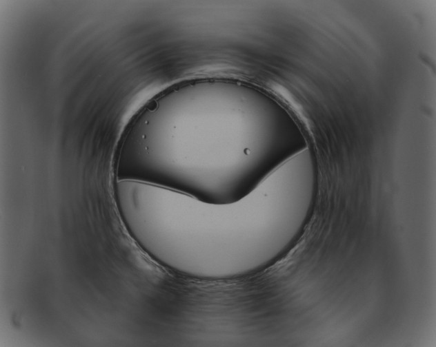 X0000091891336200709191209
