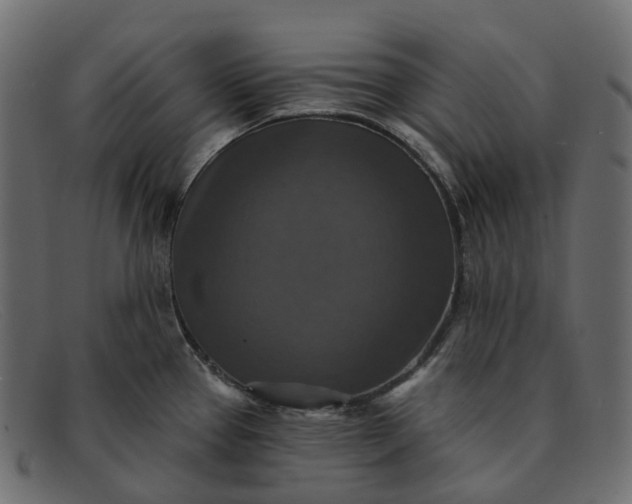 X0000091891337200709191209