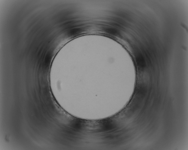 X0000091891338200709191209