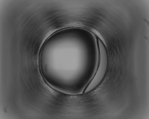 X0000091891339200709191209