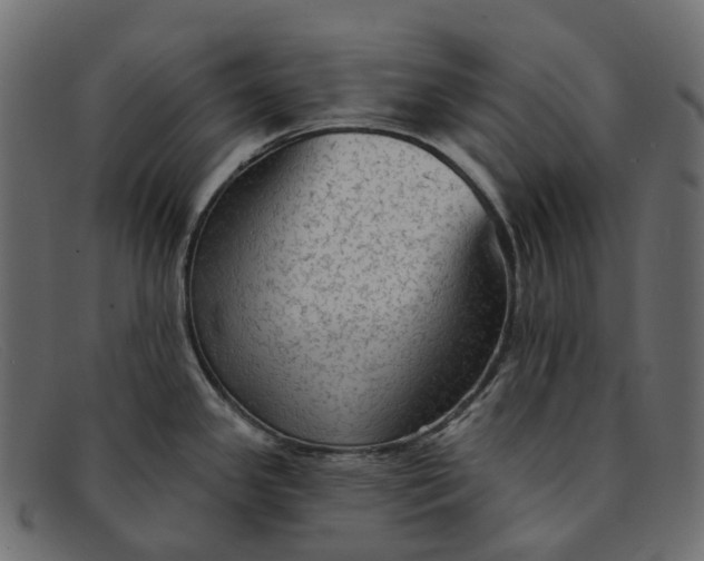 X0000091891341200709191210
