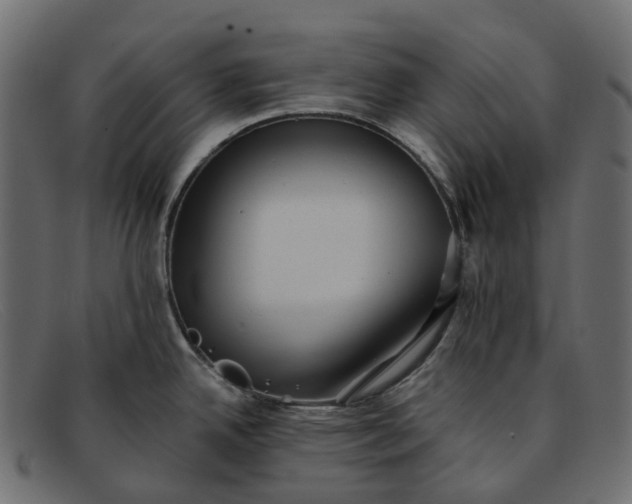 X0000091891342200709191210