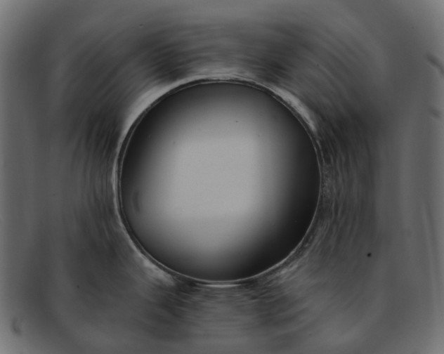 X0000091891343200709191210