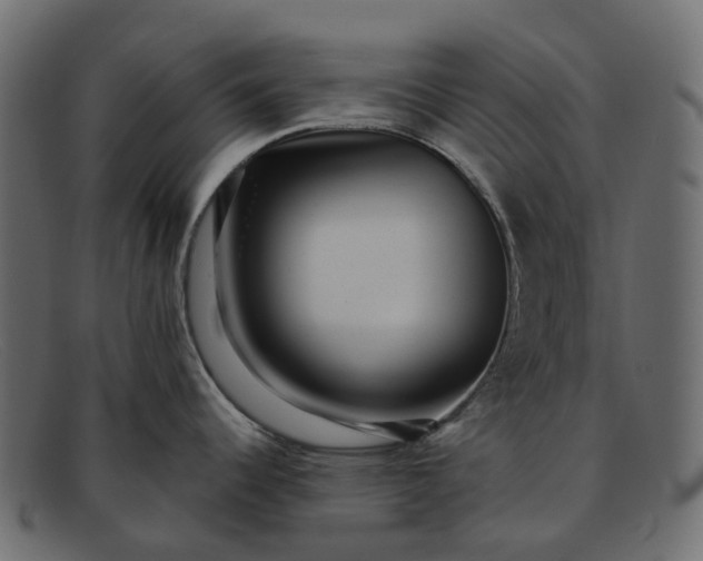 X0000091891344200709191210