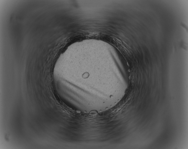 X0000091891345200709191209