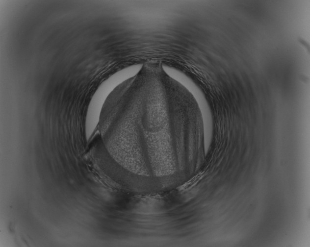 X0000091891346200709191209