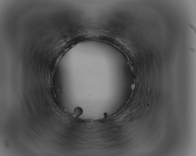 X0000091891348200709191209