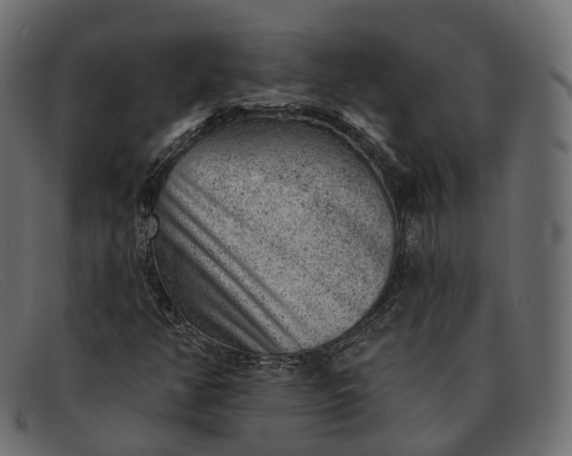 X0000091891350200709191209