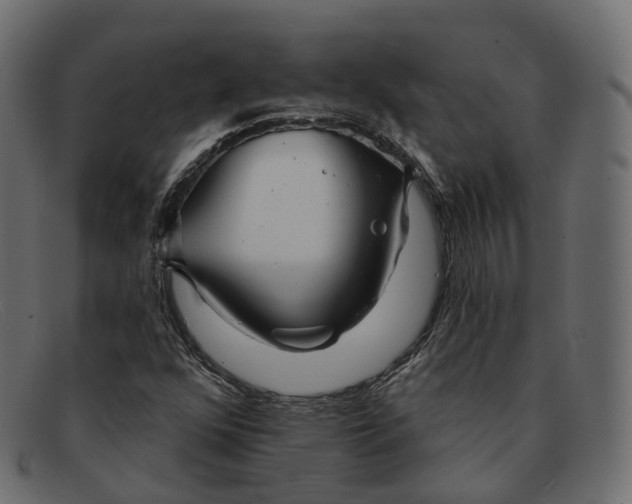 X0000091891352200709191209