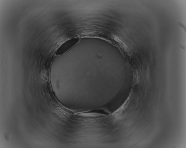 X0000091891353200709191209