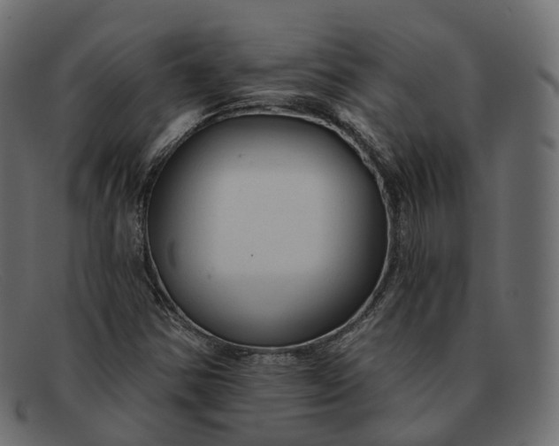X0000091891354200709191209