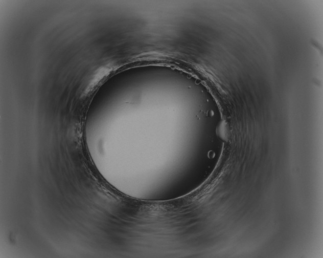 X0000091891355200709191209