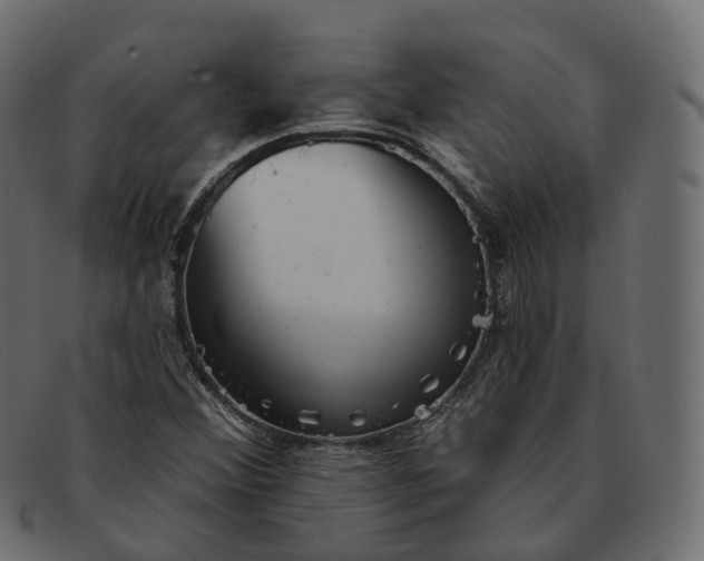 X0000091891356200709191209