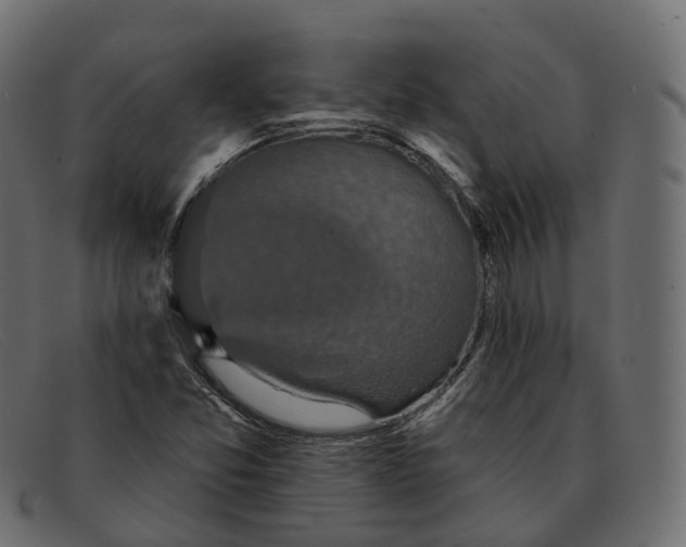 X0000091891357200709191209