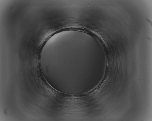 X0000091891359200709191209