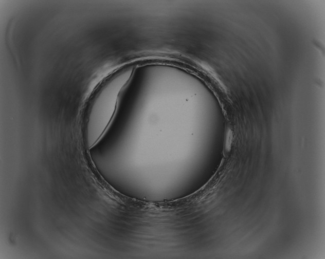 X0000091891360200709191209