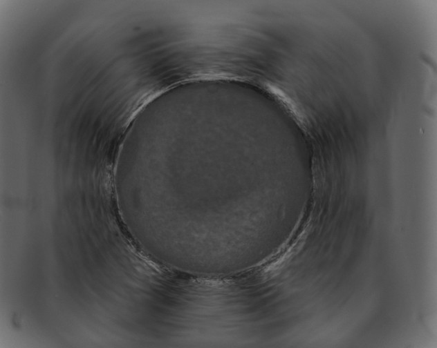 X0000091891361200709191209