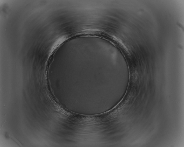 X0000091891362200709191209