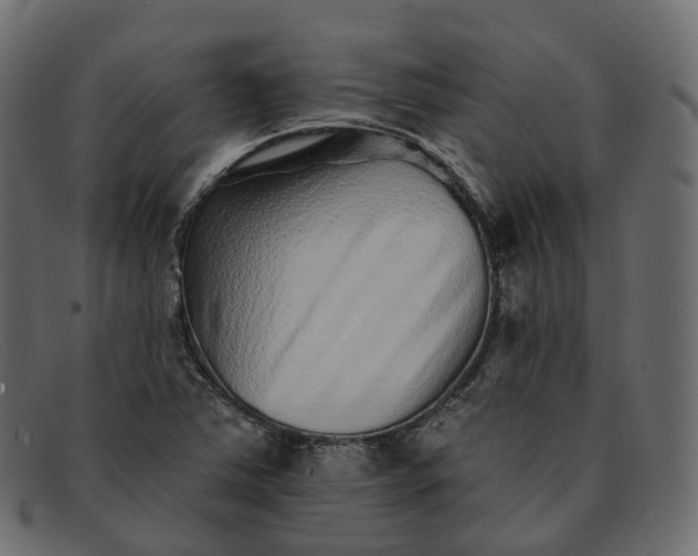X0000091891363200709191209