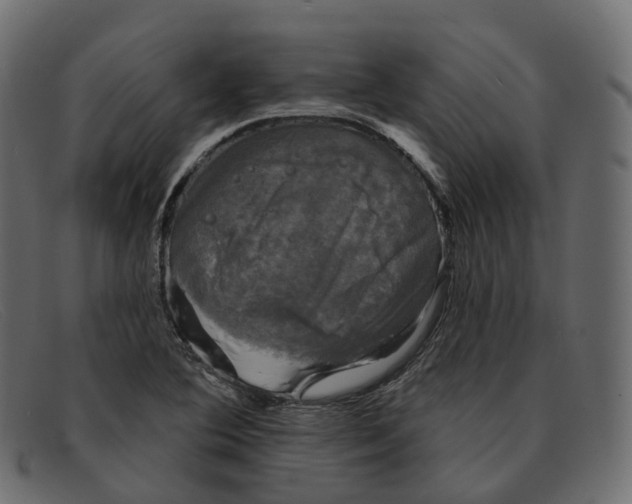 X0000091891364200709191209