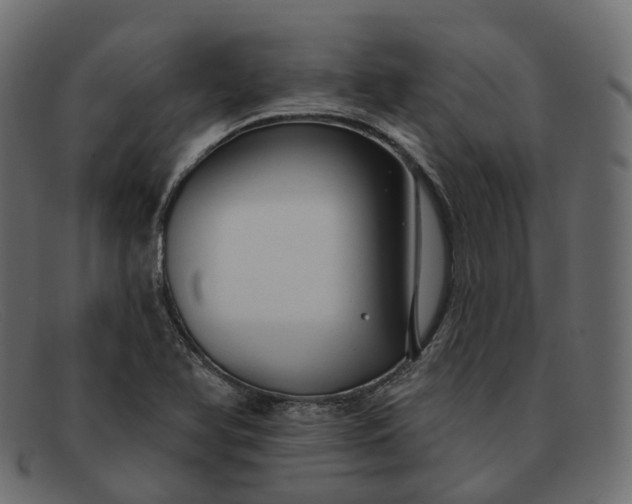 X0000091891366200709191209