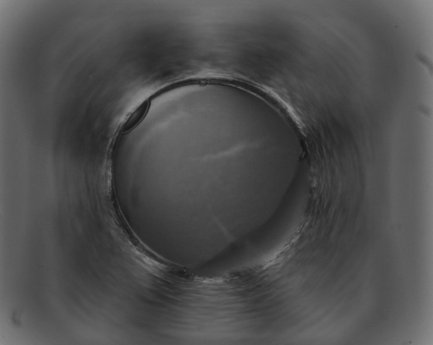 X0000091891367200709191209