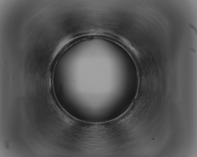 X0000091891368200709191209