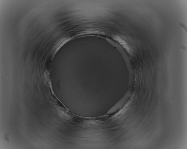 X0000091891369200709191209