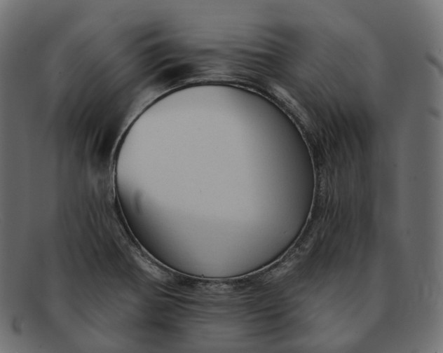 X0000091891370200709191209