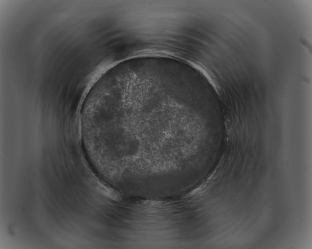 X0000091891371200709191208