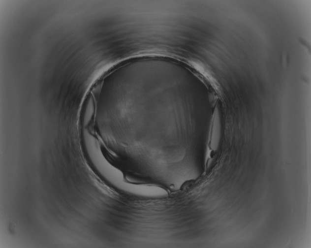 X0000091891372200709191208