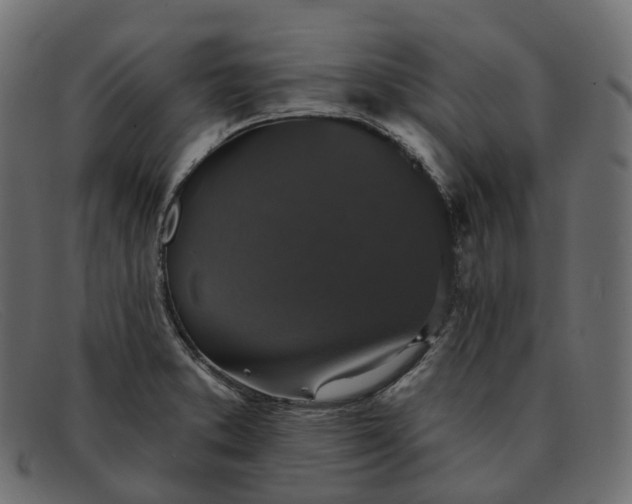 X0000091891373200709191208