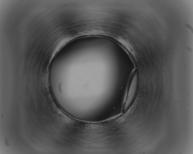 X0000091891374200709191208