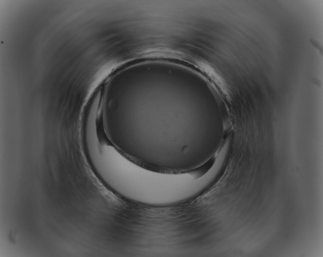 X0000091891376200709191208