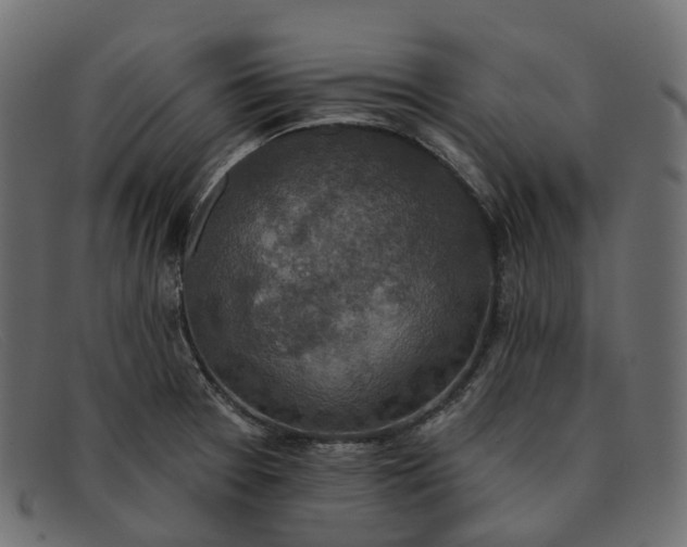 X0000091891377200709191208