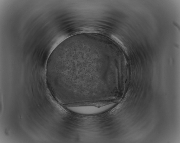 X0000091891378200709191208