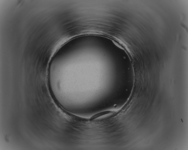 X0000091891379200709191208