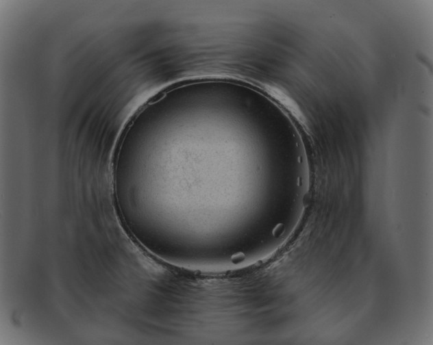 X0000091891380200709191208