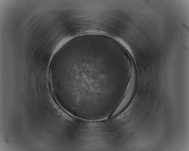 X0000091891381200709191208